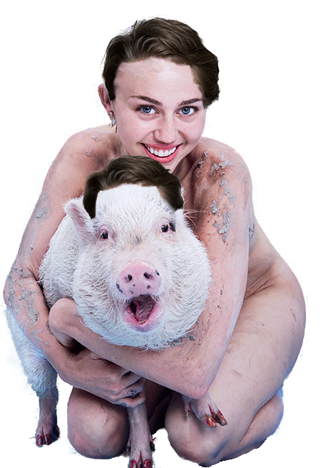 miley-pig-nedhair3.png