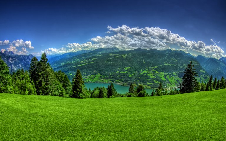 green-pastures.jpg