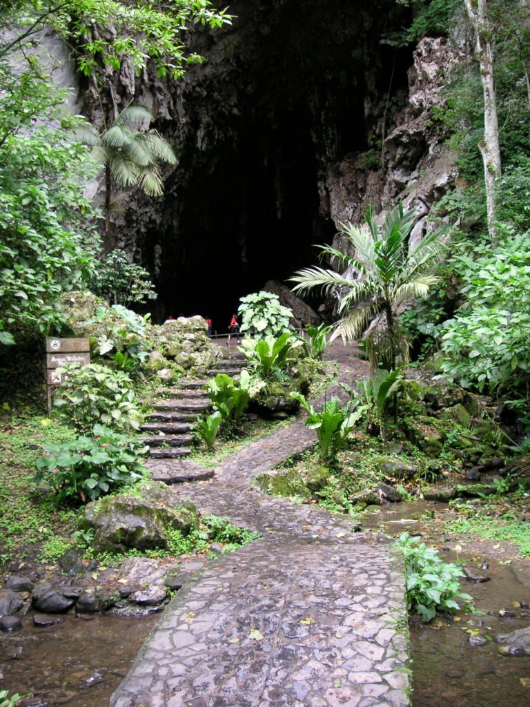 Cueva-del-Guacharo-Venezuela-768x1024.jpg