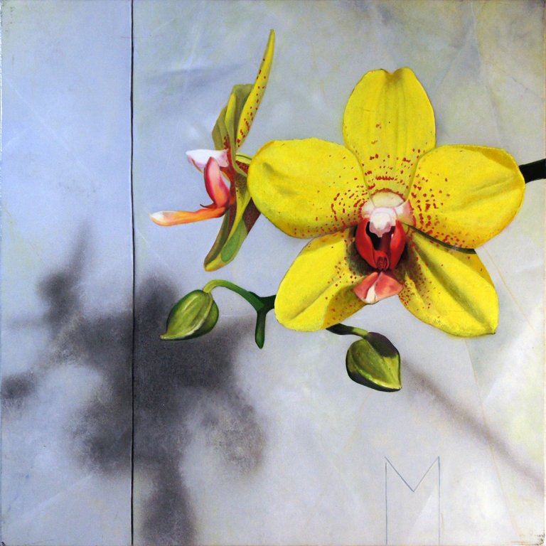 yellow orchids.jpg