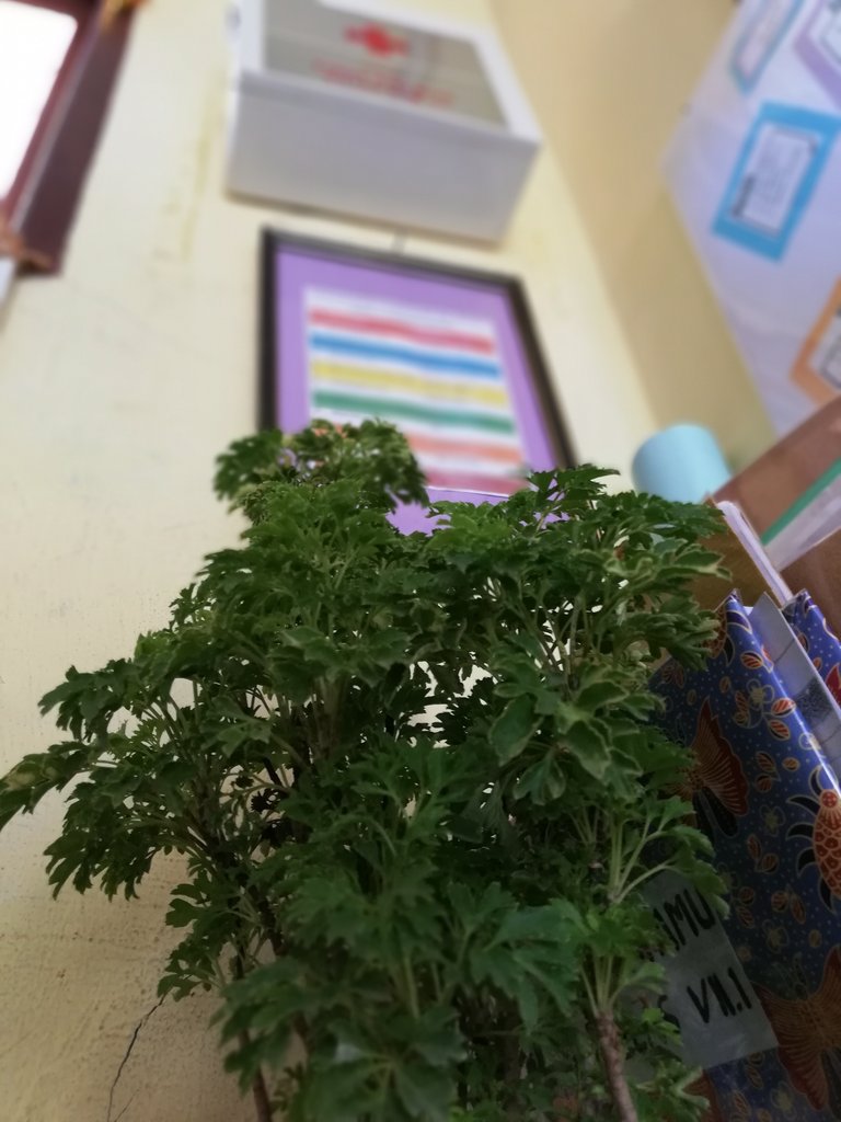 IMG_20180927_145224.jpg