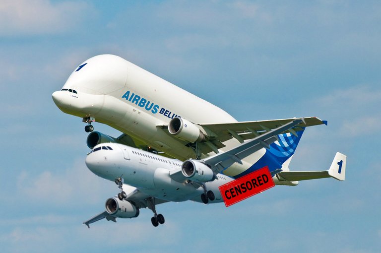 Airbus_Beluga_1_F-GSTA_01.jpg