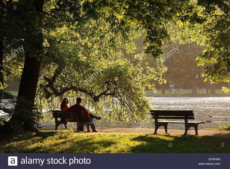 pareja-sentada-en-un-banco-del-parque-en-el-englischen-garten-el-jardin-ingles-en-el-lago-kleinhesseloher-vease-munich-la-alta-baviera-alemania-b1rhn9.jpg