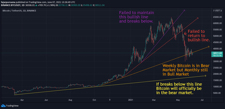 Trend Until Clear Reversal