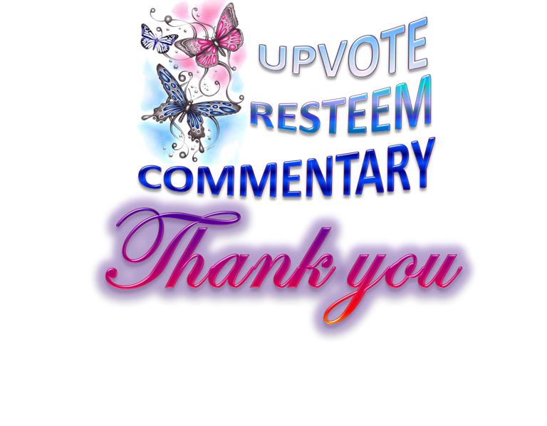 ThankYou- Voto.png