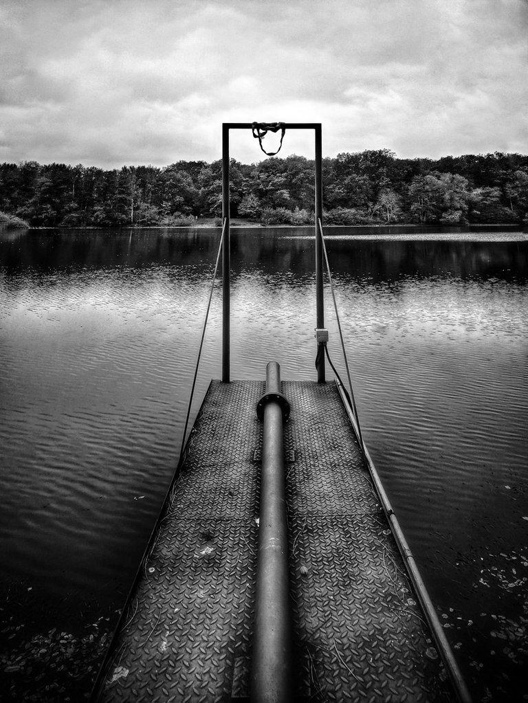 a gate on the lake snapshot by fraenk black and white bw