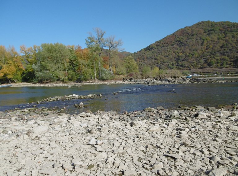 Niedrigwasser_Felsen_08.jpg