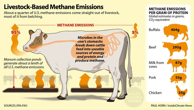 ag-climate-livestock-methane-emissions-infographics-1058px.png