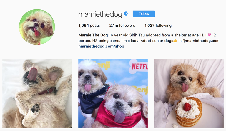 MarnieTheDog.png