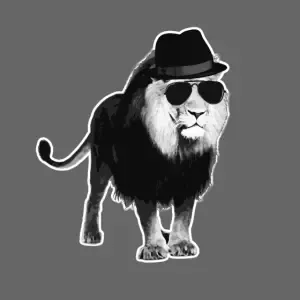 lion-shades.jpg