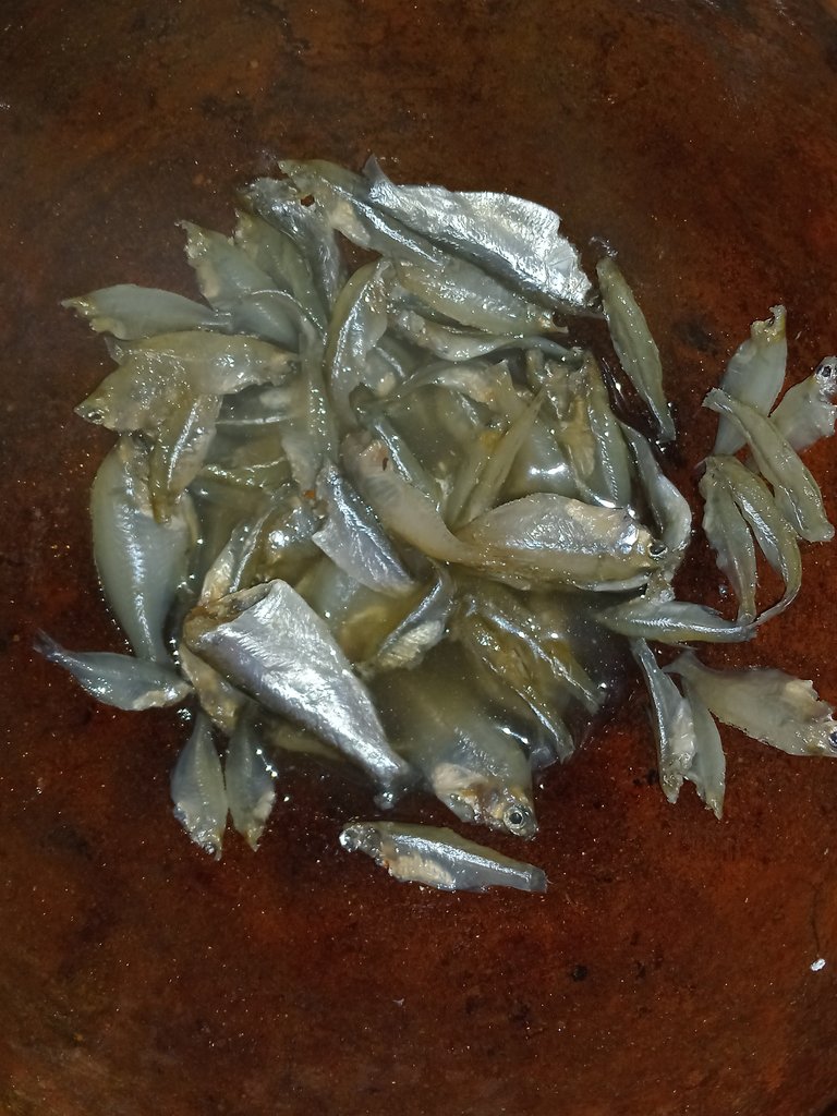20241227_110127.jpg