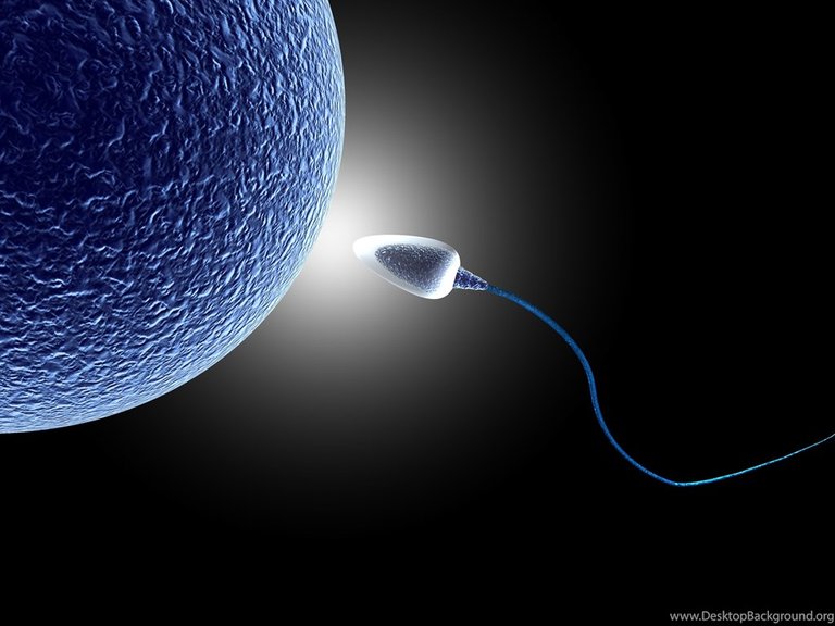 302988_sperm-abstraction-abstract-bokeh-life-sex-sexual-medical-dna-male_4000x3000_h.jpg