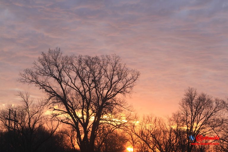 morning dawn sunrise golden-hour skyscape landscape IMG_0466.JPG