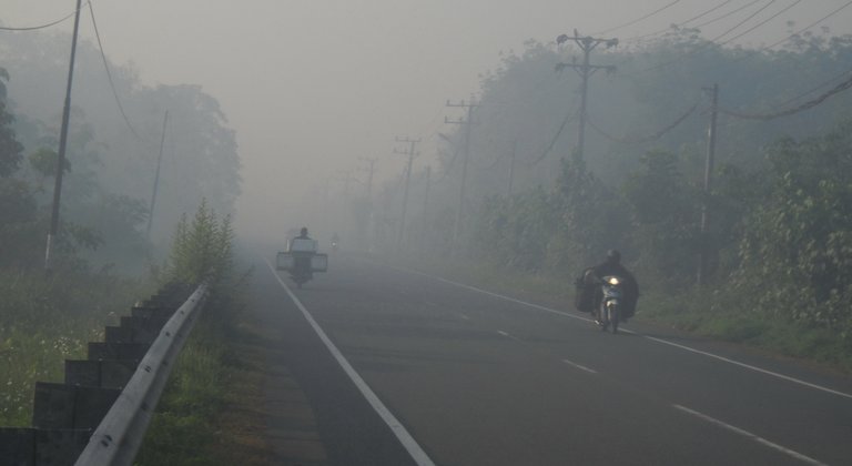 asap terlihat mulai menyelimuti jalan Imam Bonjol Suak Raya Meulaboh. Foto WAWAN.JPG