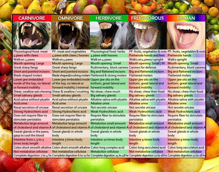 Fruitarian-Humans.jpg