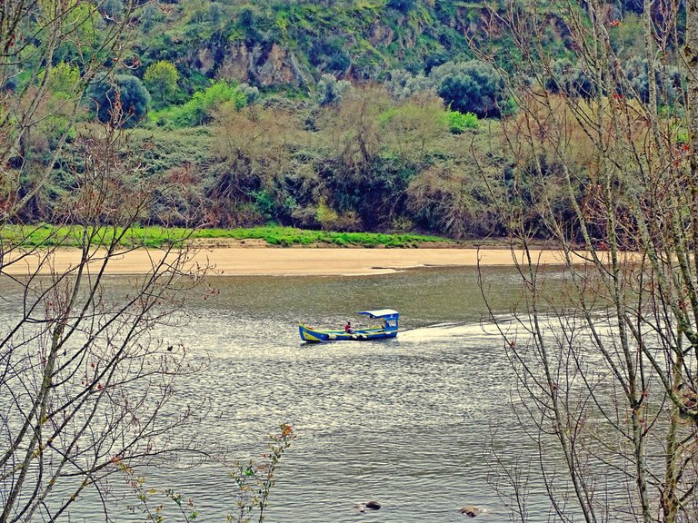 DSC04863.jpg
