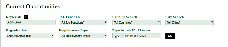 2. Job Search.png