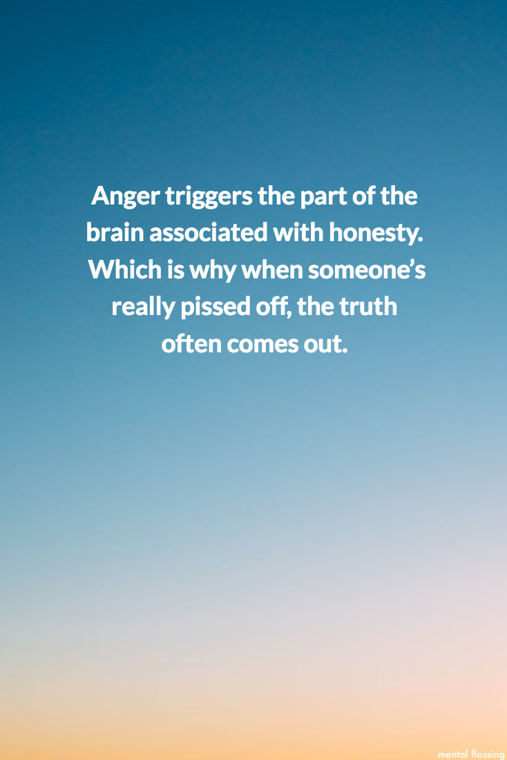 anger_honesty.png