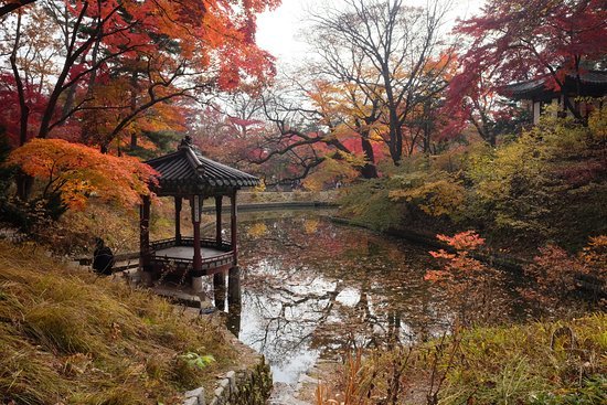 secret-garden-changdeokgung.jpg