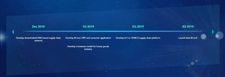 TEMCO-Roadmap-2.png