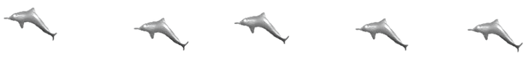 dolphin-divider-schamangerbert.png