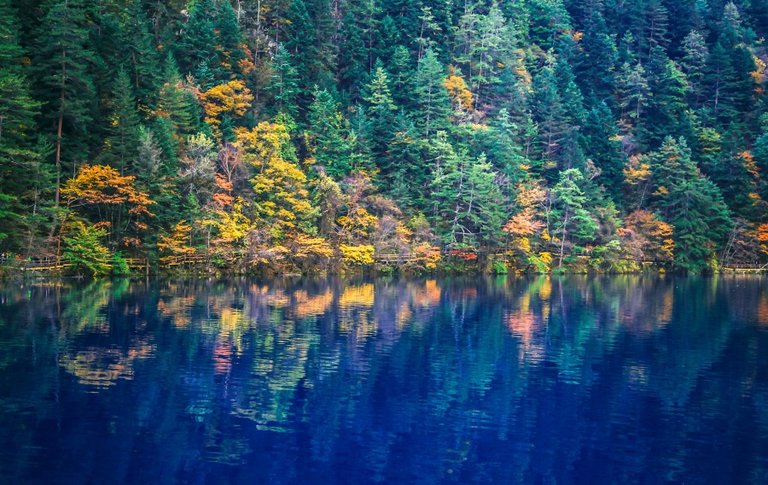 Jiuzhaigou Valley4.jpg