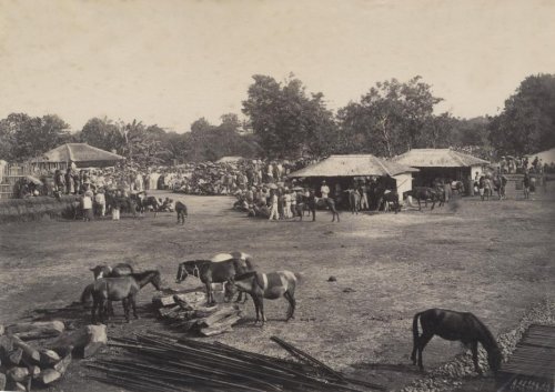 Arena Pacuan Kuda di Cirebon, 1880. Stoop..jpg