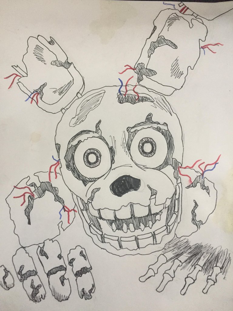 spring trap.jpg