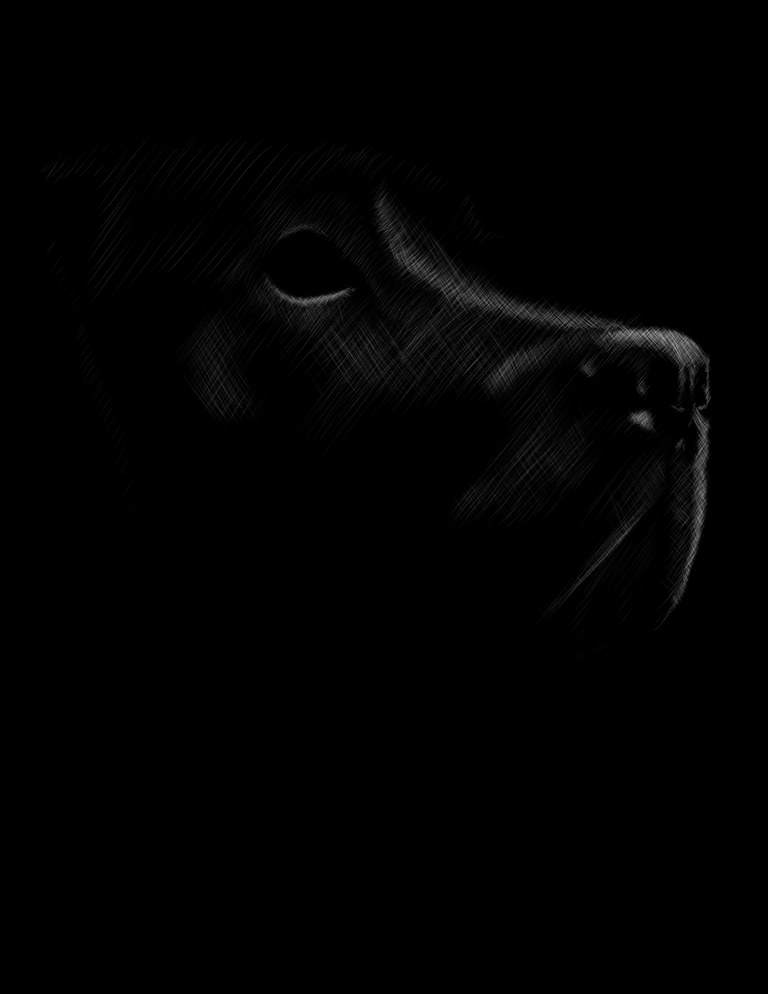 oogy4.png