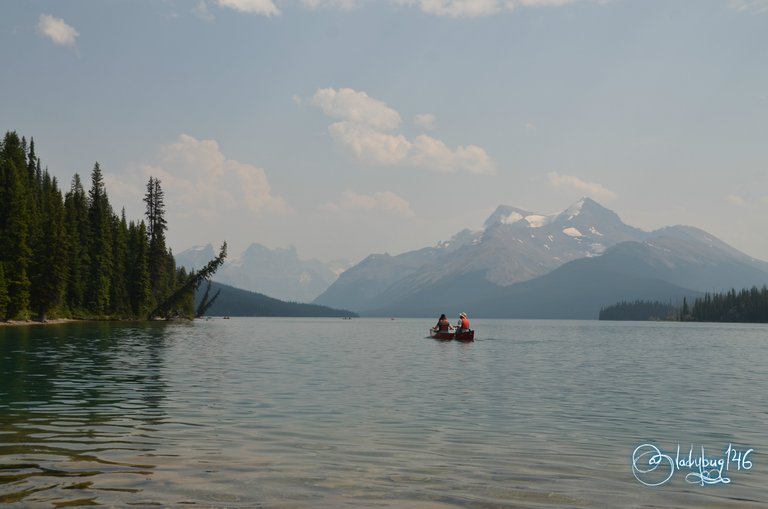 maligne lake2.jpg