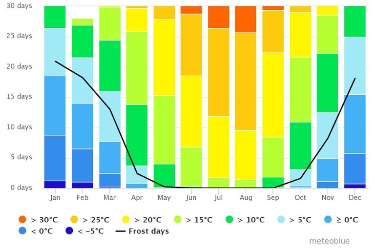 chart.jpeg