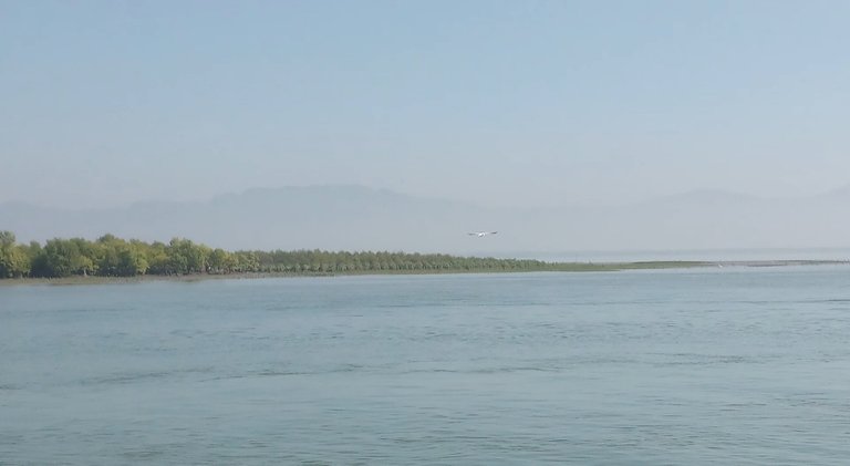 20191227_202019.jpg