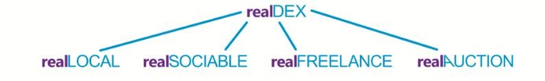 realdex categories.png