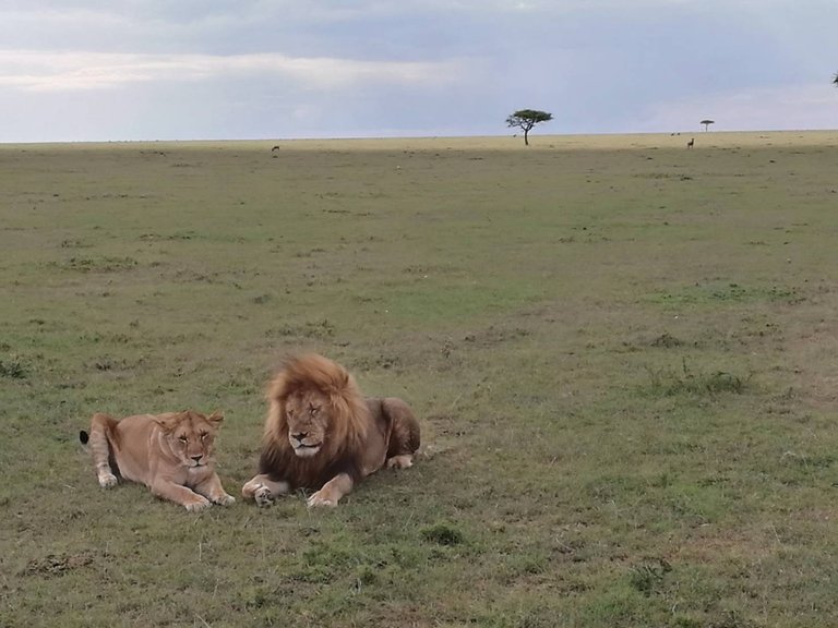 Maasai National Reserve20.jpg