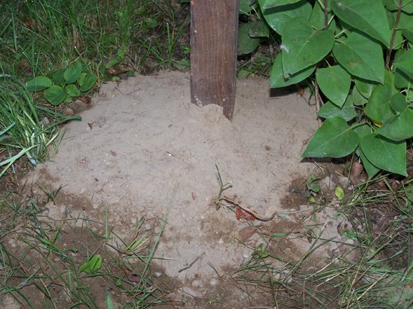 Fixing fence7 crop June 2018.jpg