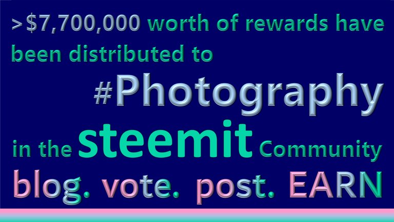 Distribution of Rewards to Photography.jpg