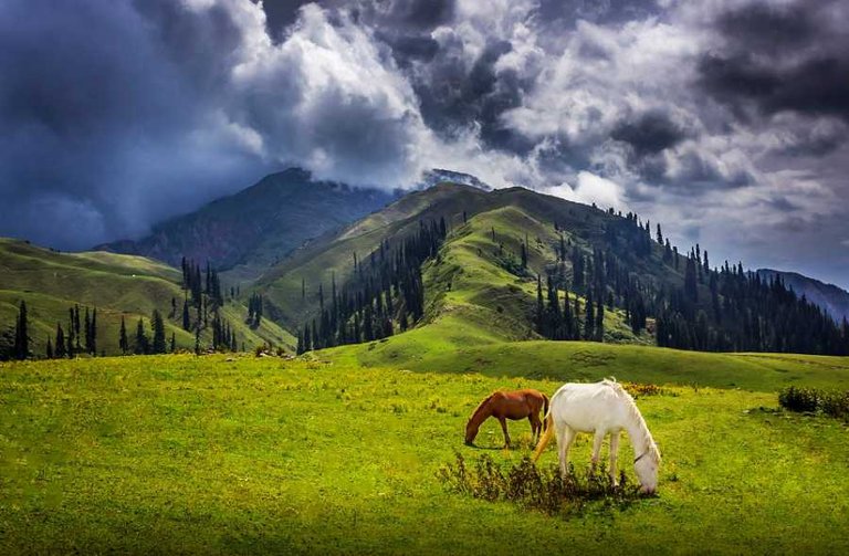 naran-kaghan-1c.jpg