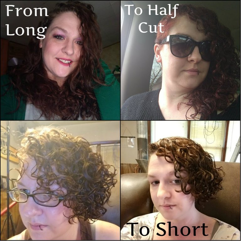 haircut_collage.jpg