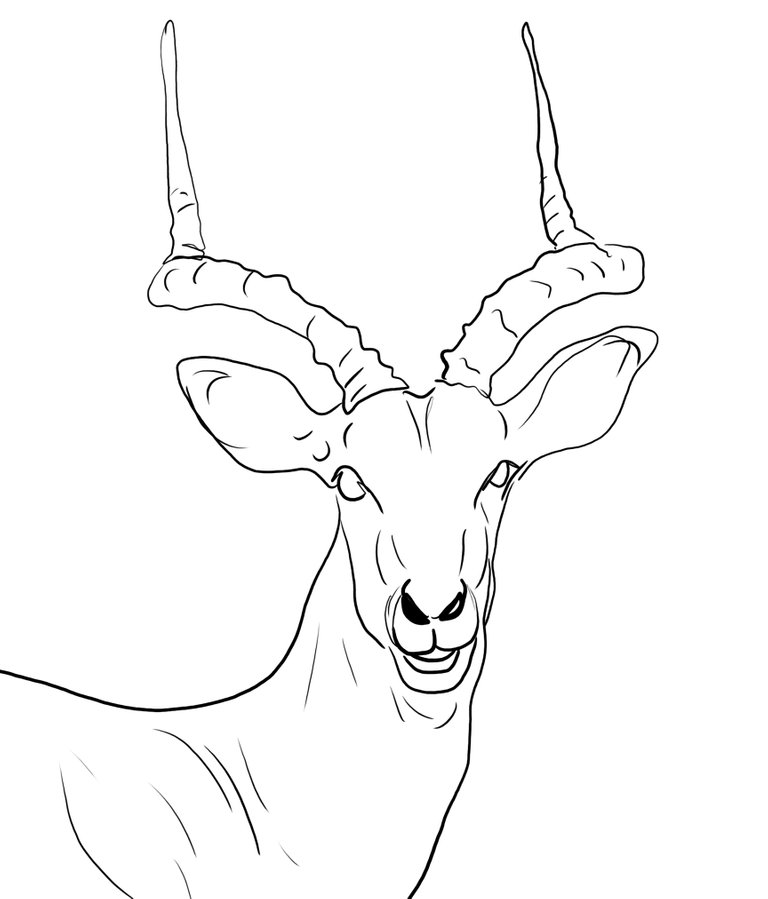 deer (468).jpg