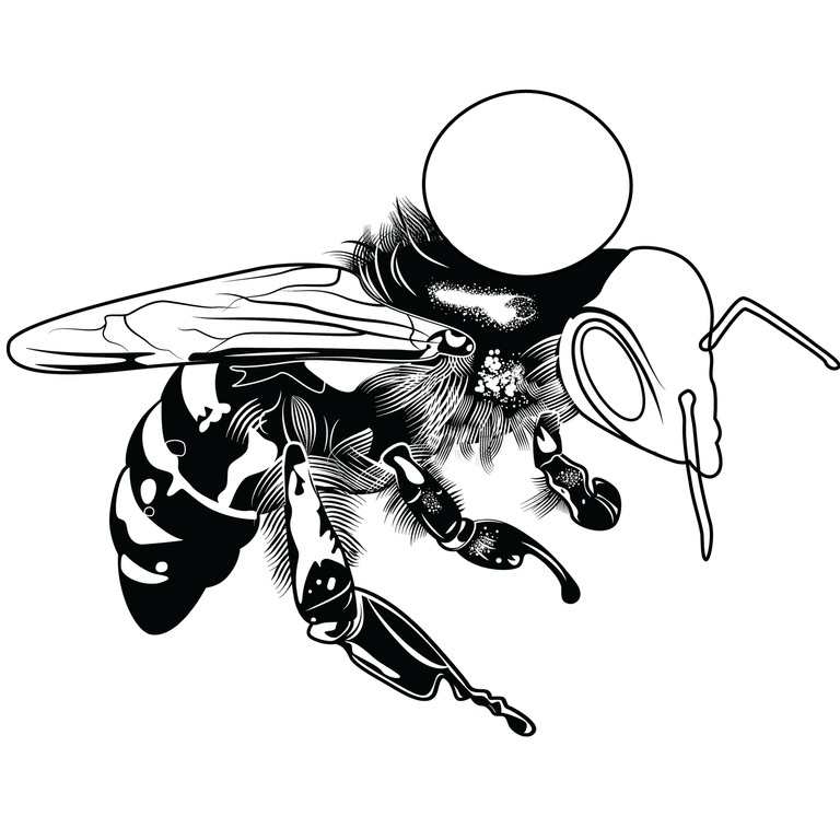 abeja1-muestra1.png