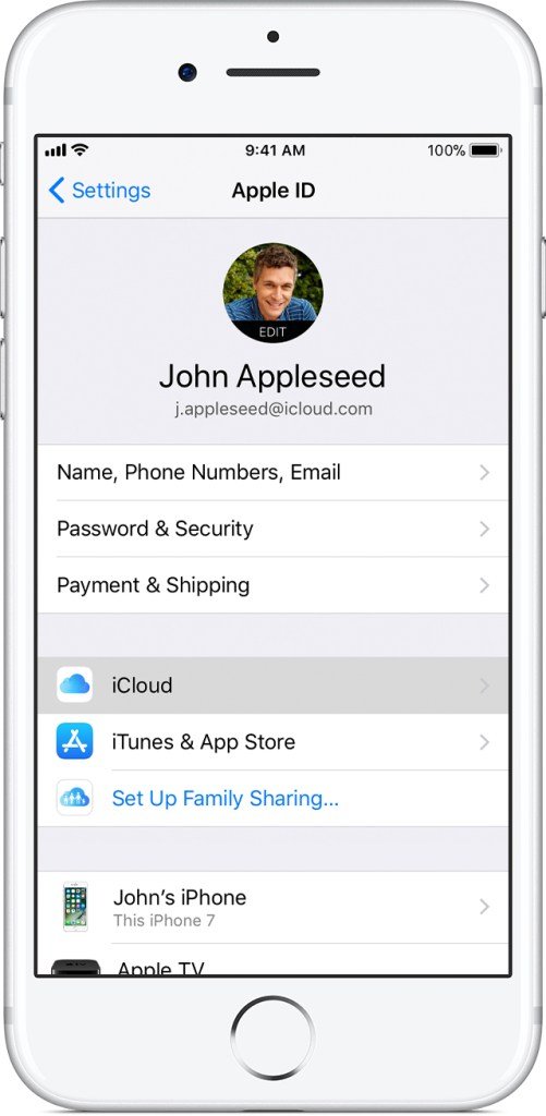 iphone7-ios11-settings-appleid-icloud-selected.jpg