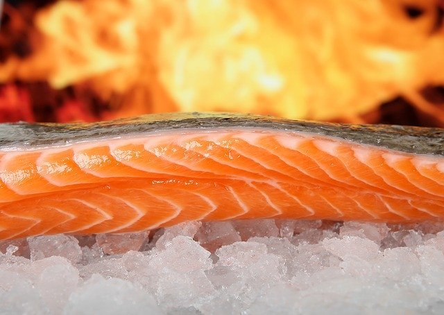 salmon-1238662_640.jpg