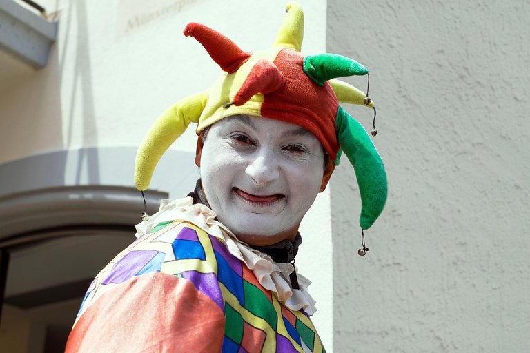 fool-1476189_1280.jpg