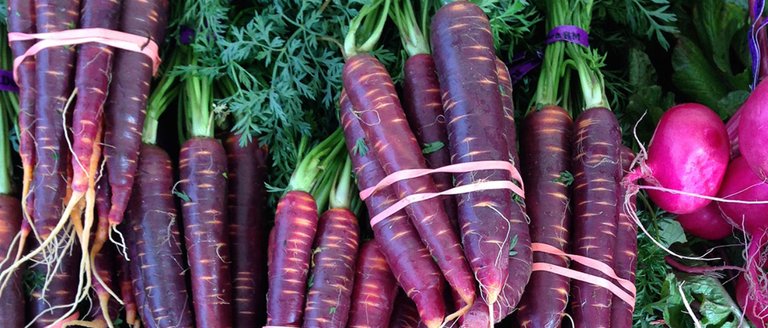 FI-Purple-Carrots-1320x564.jpg