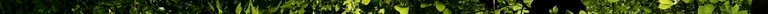 IMG_0186 3.jpeg