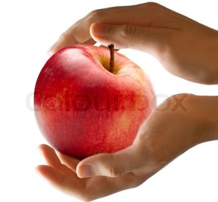 4201947-male-hands-holding-red-apple.jpg.cf.jpg