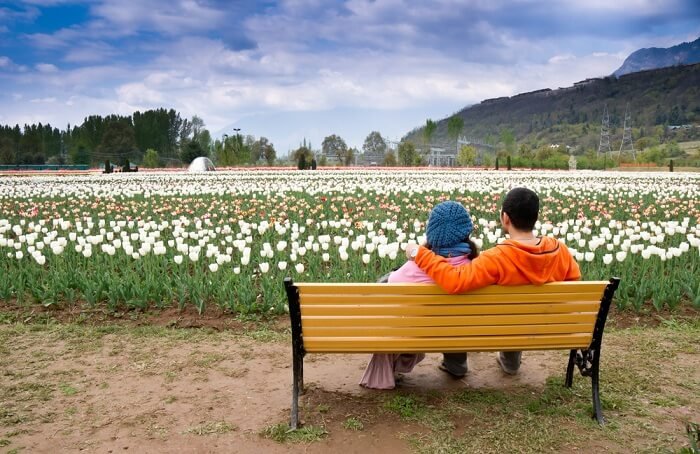 tulip-garden-in-srinagar-first-image.jpg