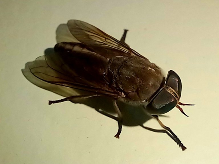 20241017_152746.jpg