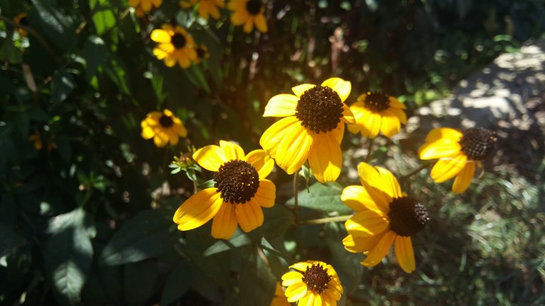 20180811_115444.jpg