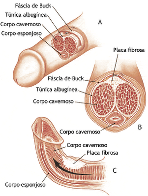 captura2bde2bpantalla2b2015-08-232ba2blas2b0-58-18.png